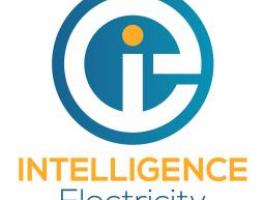 electricien-agree.be, Intelligence Electricity, I-ELEC