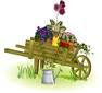 SOCIÉTÉ D'HORTICULTURE D'ORMES