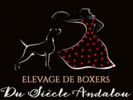 Elevage Du Siècle Andalou