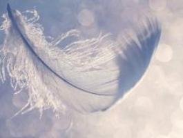 Psychologue - Psychothérapeute à Cournon d'Auvergne