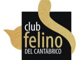 Club Felino del Cantábrico