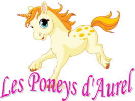 Les poneys d'Aurel