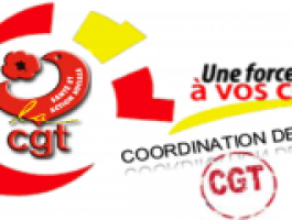 La Coordination des syndicats CGT du GHBS