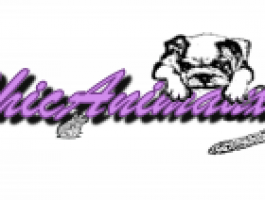 La boutique ChicAnimaux animalerie