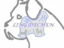Elevage Canin LING DECHEN