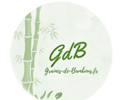 www.graines-de-bambous.fr