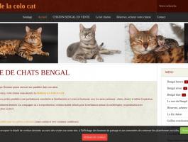 chatterie de la colo cat