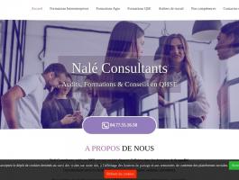 Nalé Consultants