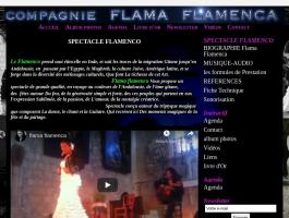 SPECTACLE FLAMENCO-FLAMA FLAMENCA-ANIMATION FLAMENCO-ANIMATION ESPAGNOLE-GROUPE FLAMENCO-MUSIQUE FLAMENCO