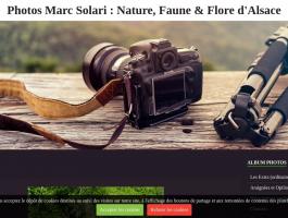 Marc Solari - Photos Nature, Faune et Flore d'Alsace