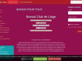 bonsai club de Liège