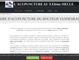 L'acupuncture simplement et efficacement