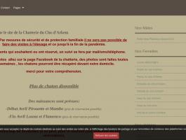 Elevage familiale de sacré de birmanie