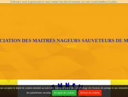 ASSOCIATION DES MAITRES NAGEURS SAUVETEURS DE MARTINIQUE