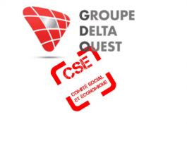 CSE Groupe Delta Ouest