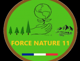 Force Nature 11