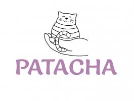 Patacha