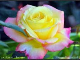 La première et merveilleuse histoir