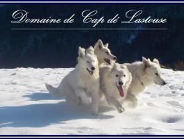 Domaine de Cap dé Lastouse