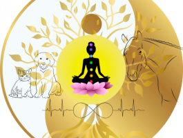 Au coeur de l'équilibre psychocorpo