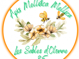 APIS MELLIFICA MELLIFICA