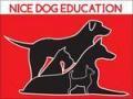 NICE DOG EDUCATION
